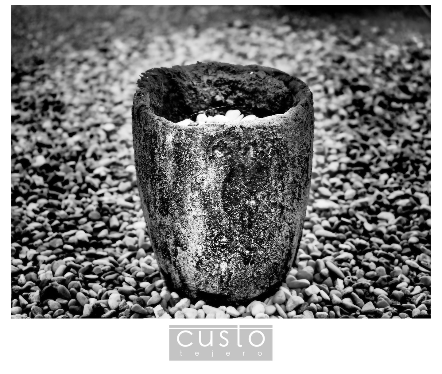 FotografoCustoTejeroAugustoArana01