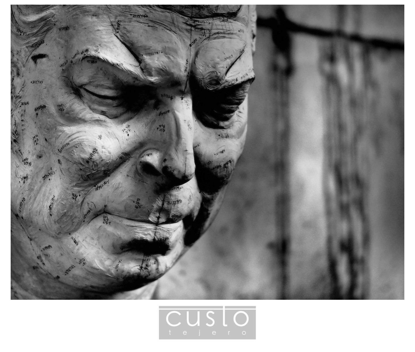 FotografoCustoTejeroAugustoArana04