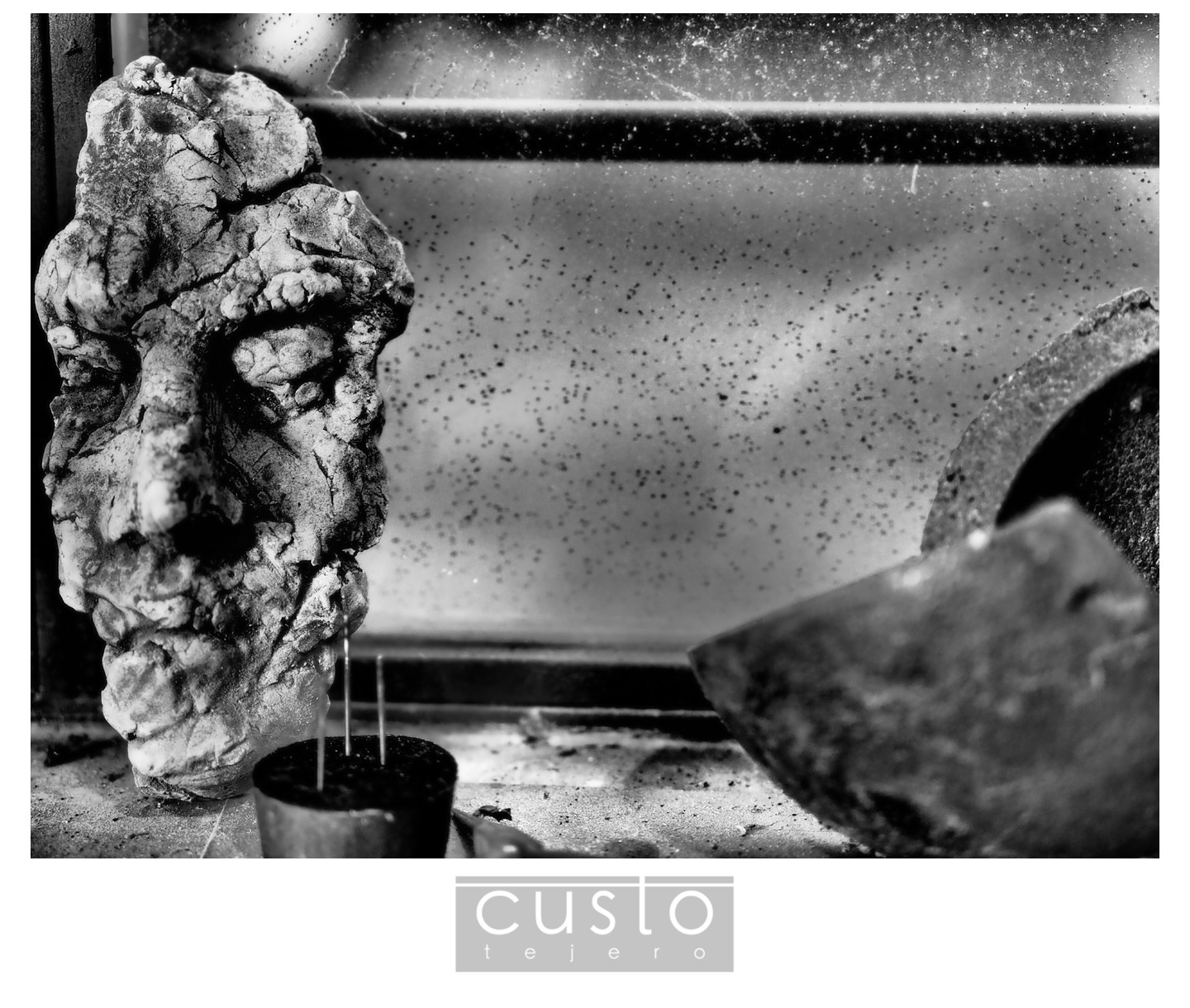 FotografoCustoTejeroAugustoArana06