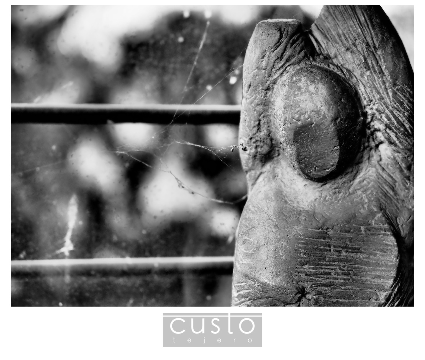 FotografoCustoTejeroAugustoArana07