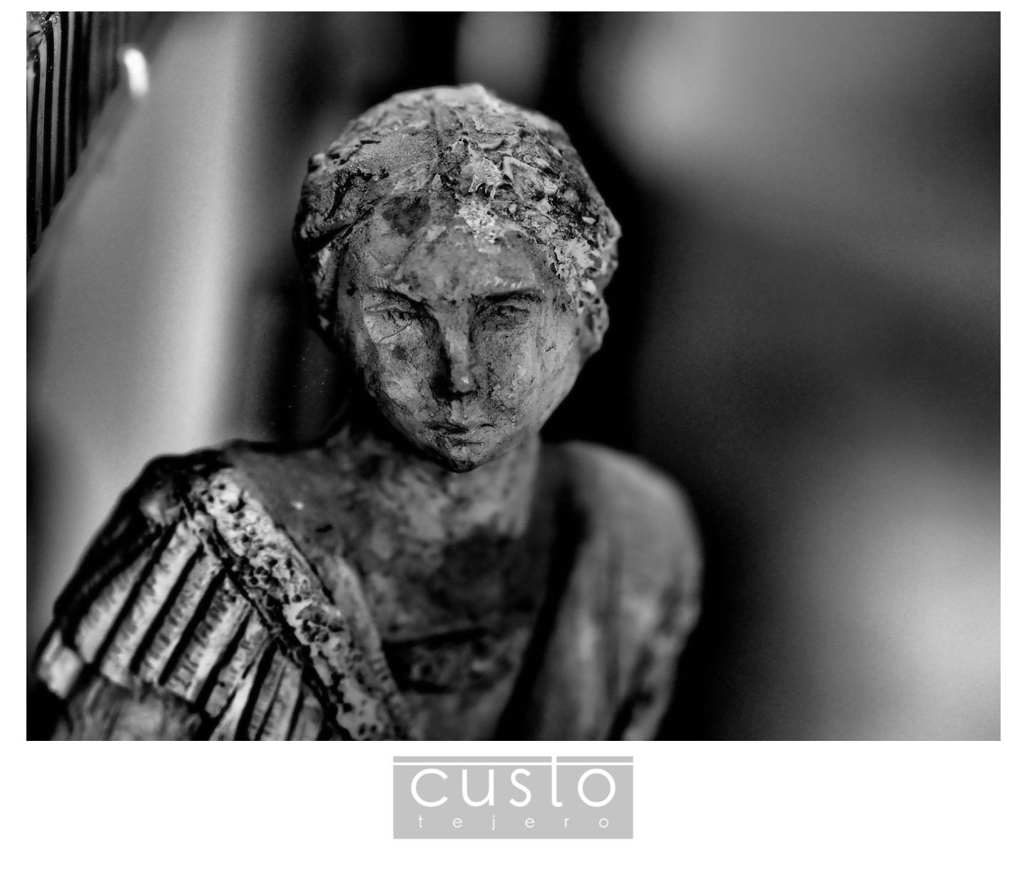 FotografoCustoTejeroAugustoArana12