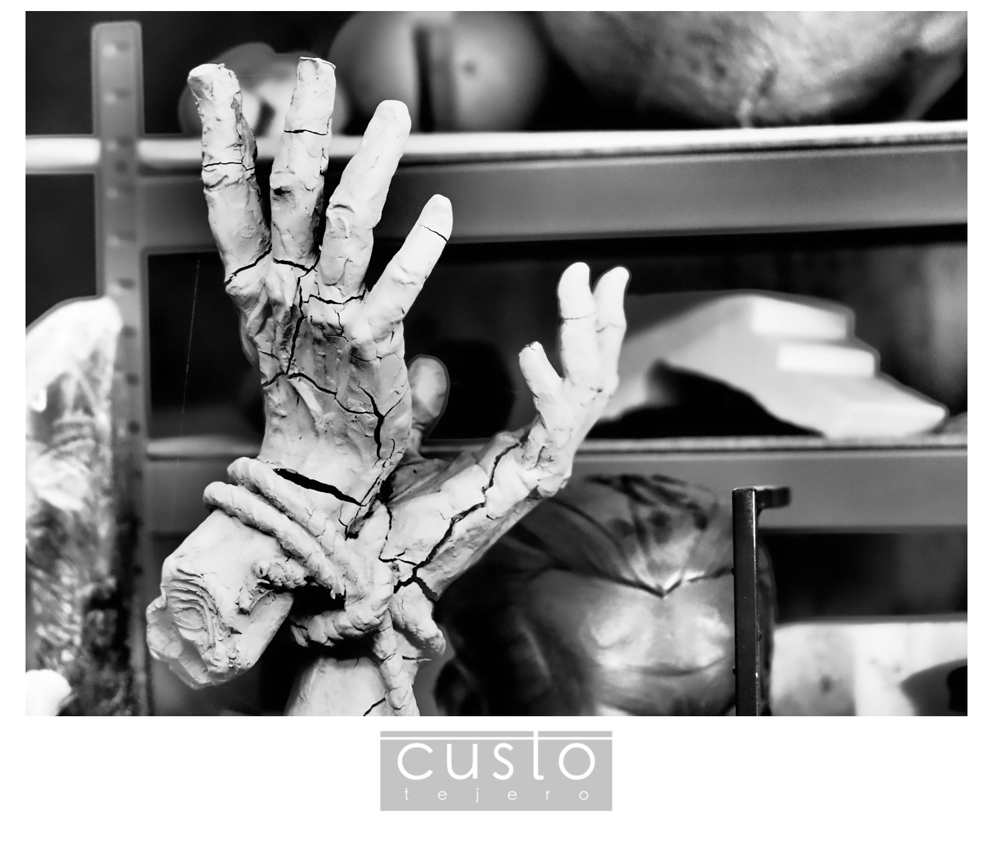 FotografoCustoTejeroAugustoArana13