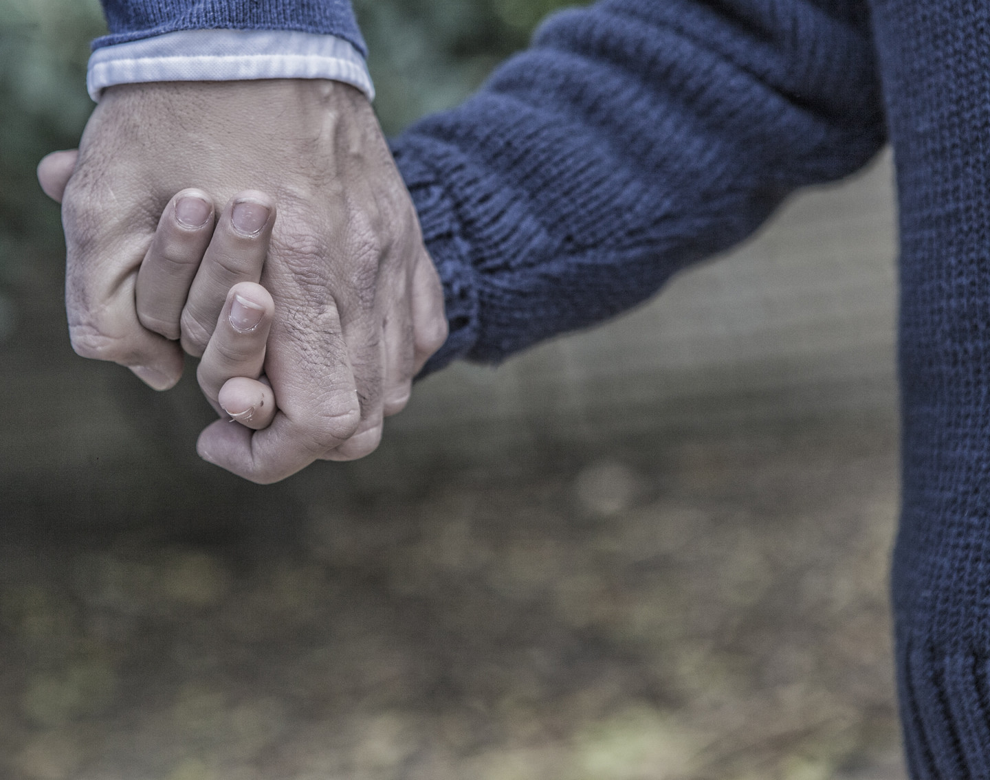 CustoTejero©AntonioyMarcelo0100