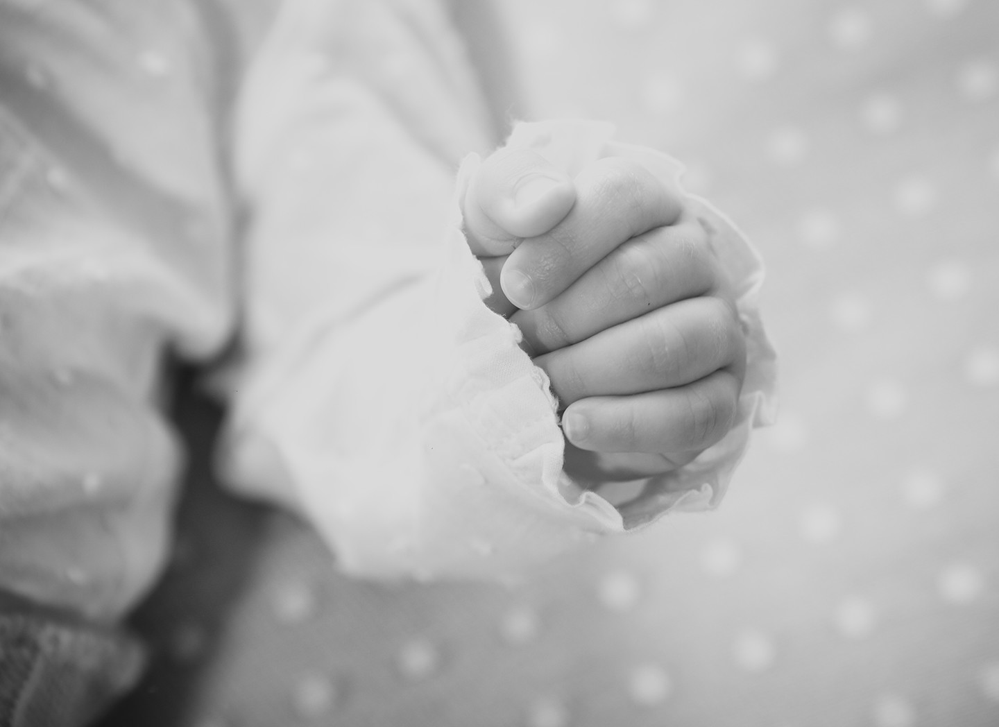 CustoTejero©Tiago0004