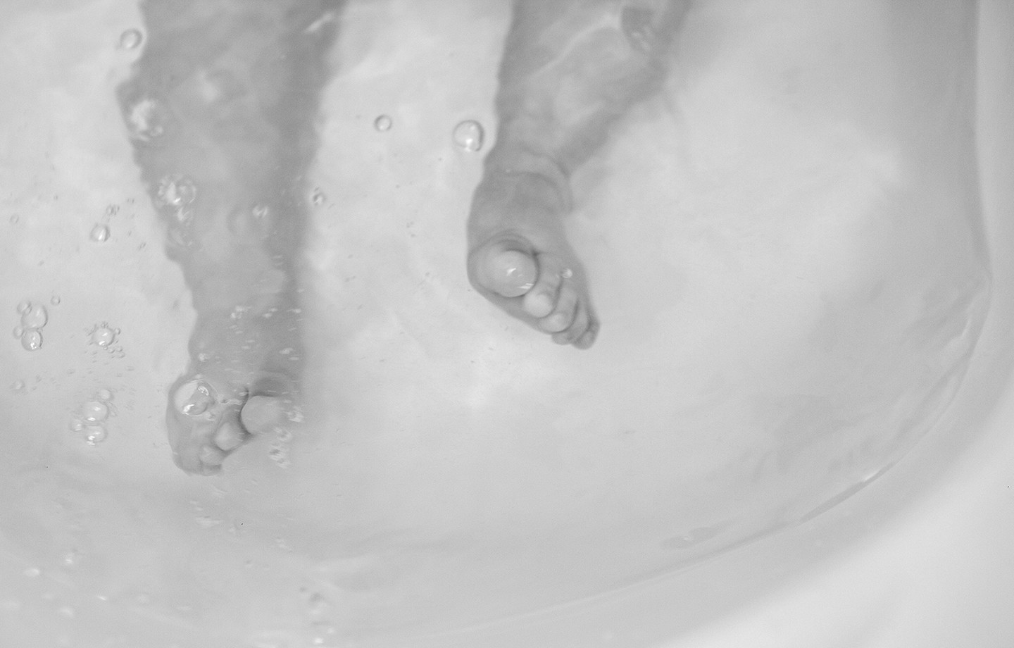 CustoTejero©Tiago0010