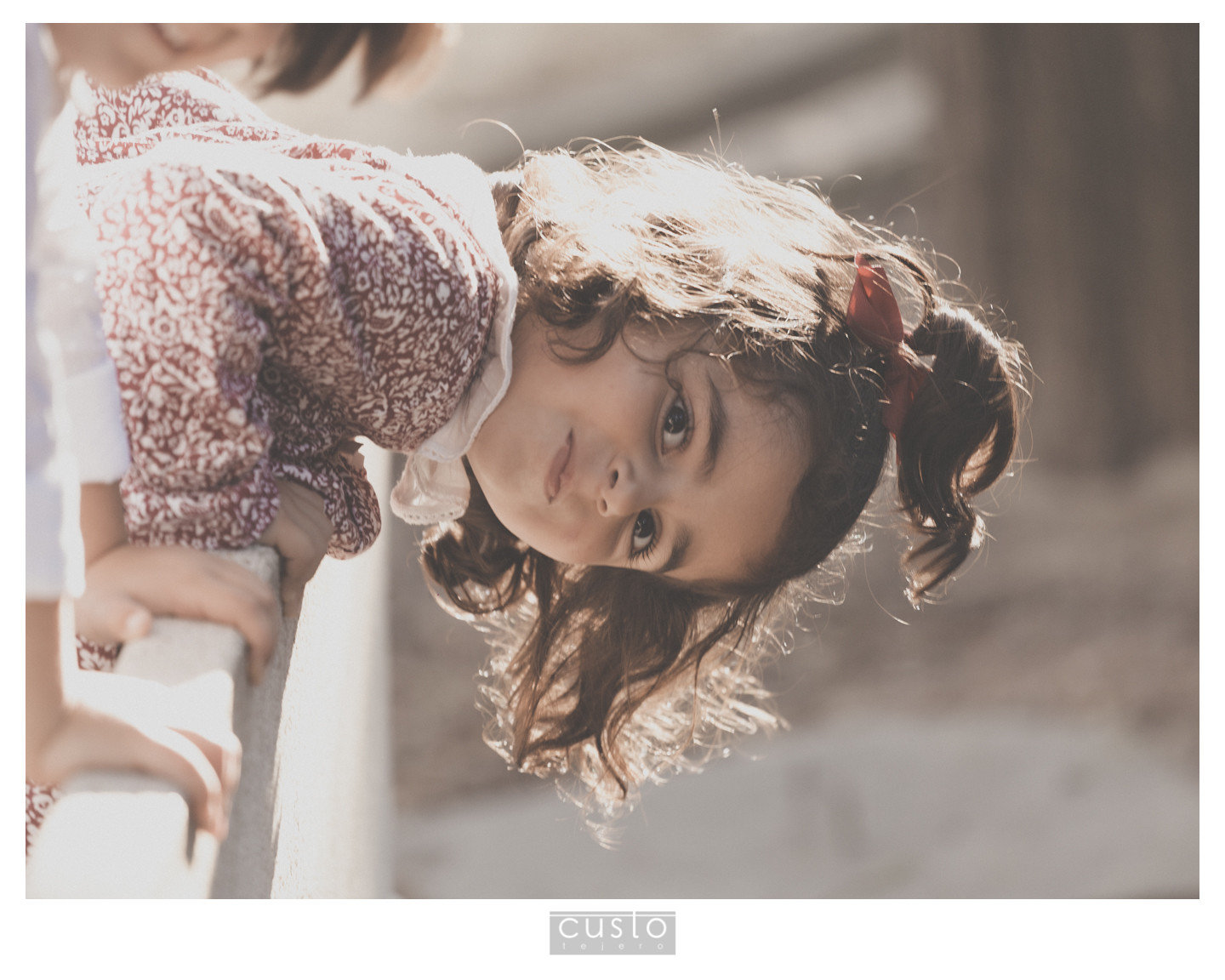 CustoTejero©AyC0005