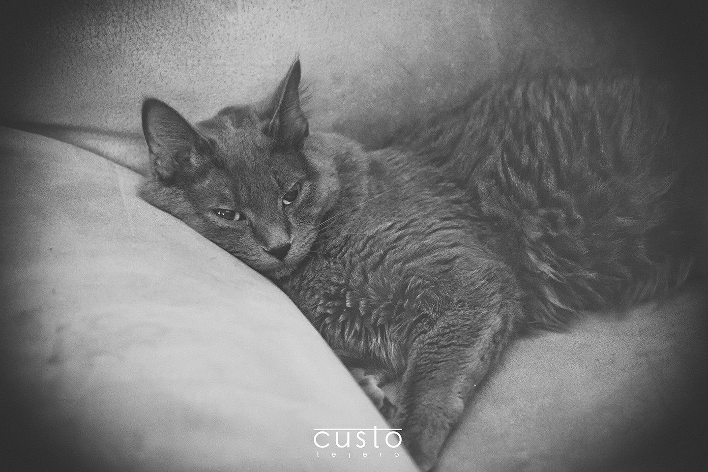 FotografodeBodasCustoTejero07a